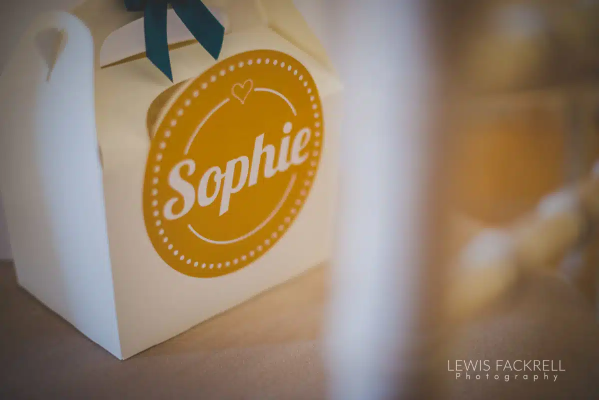 Lewis-Fackrell-Photography-Wedding-Photographer-Cardiff-Swansea-Bristol-Newport-Pre-wedding-photoshoot-cerian-dan-canada-lake-lodge-llantrisant--42