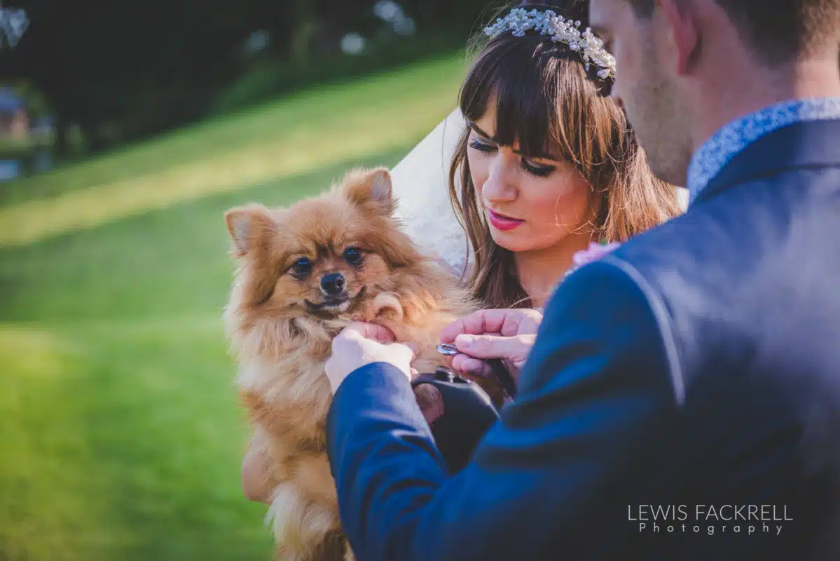 Lewis-Fackrell-Photography-Wedding-Photographer-Cardiff-Swansea-Bristol-Newport-Pre-wedding-photoshoot-cerian-dan-canada-lake-lodge-llantrisant--91