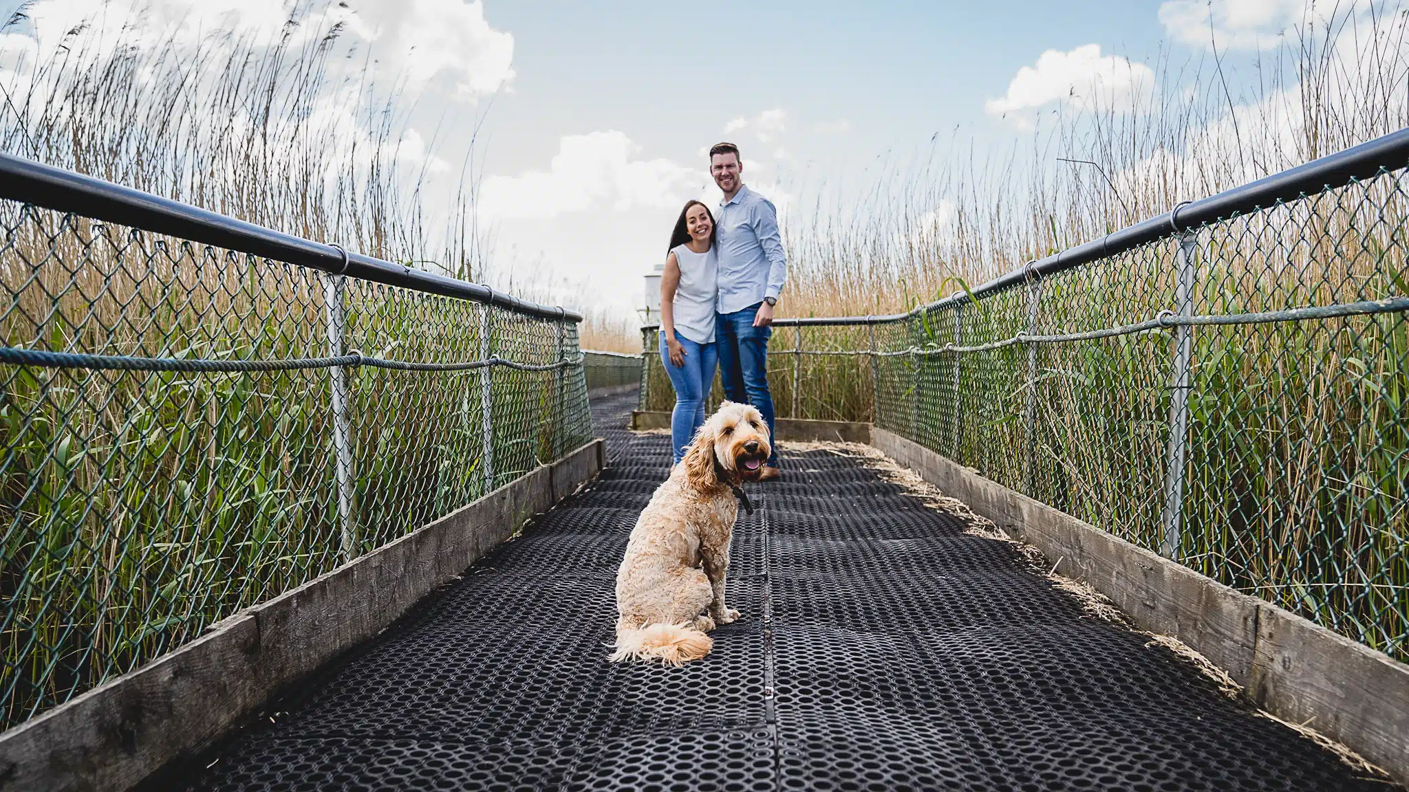 Bringing dogs to pre-wedding photo shoot