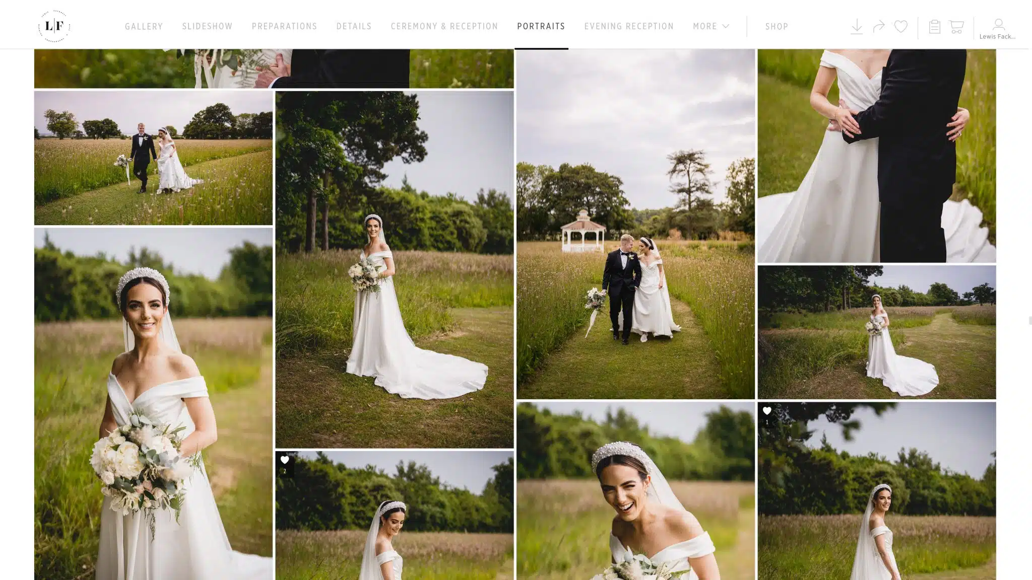 Private online wedding gallery on screen