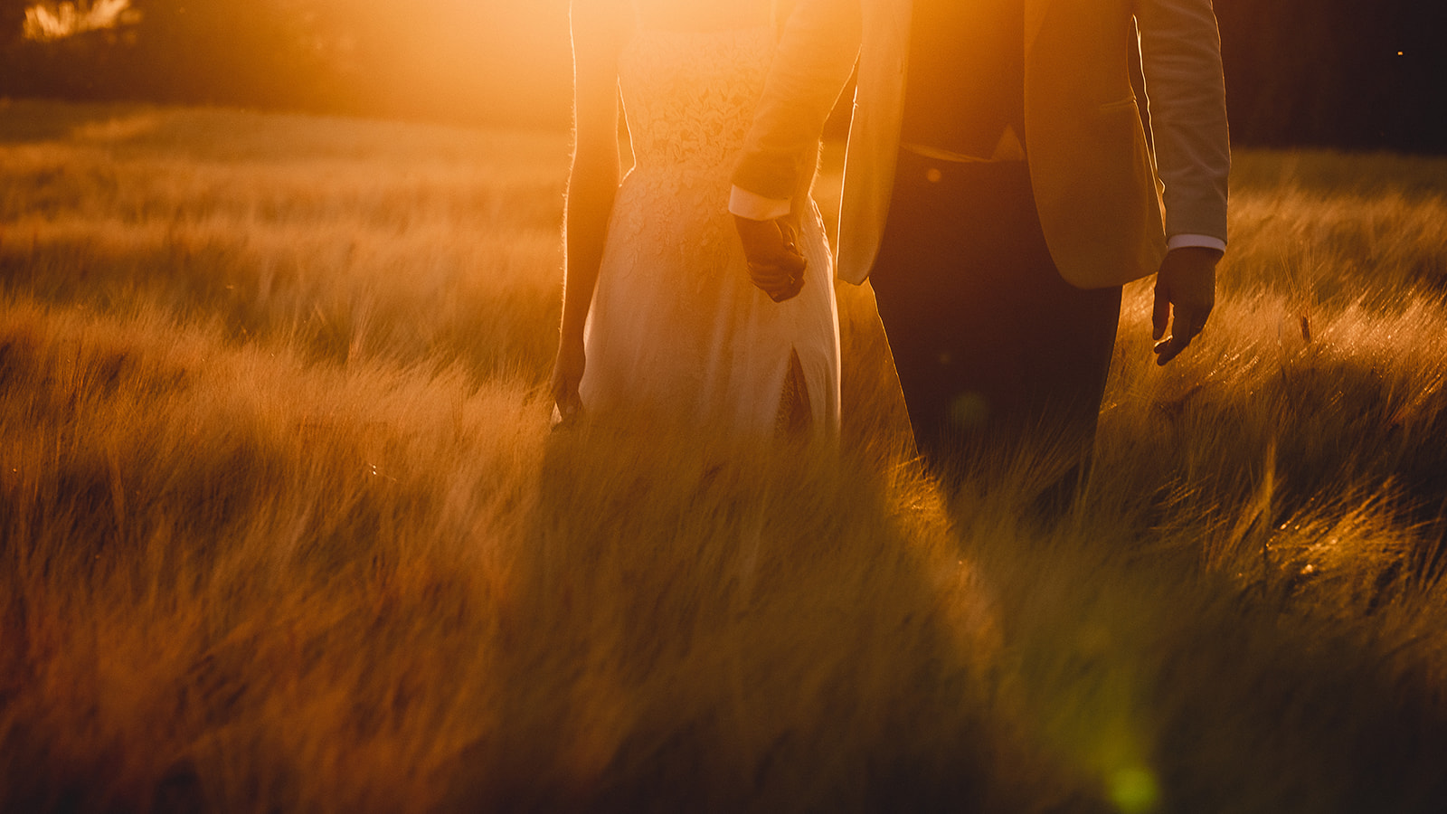 Rosie and Ben walking through golden grass at sunset